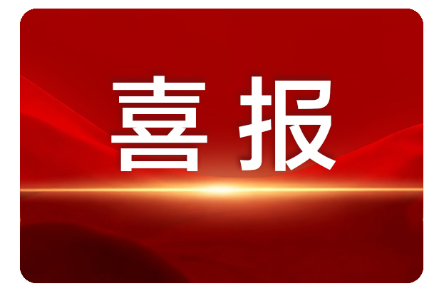 第六届中国出版政府奖获奖名单公布，PG国际荣获多个奖项